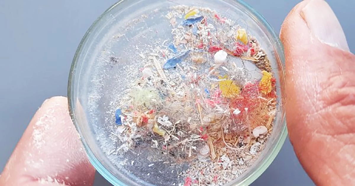 মাইক্রোপ্লাস্টিকে স্বাস্থ্যঝুঁকি